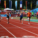62.jpg