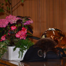 JHV Vorarlberger Jagdschutzorgane 2018 _119_.jpg
