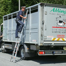 Tiertransport280518018.jpg
