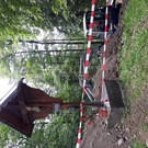 Breitband Dafins _6_.jpg