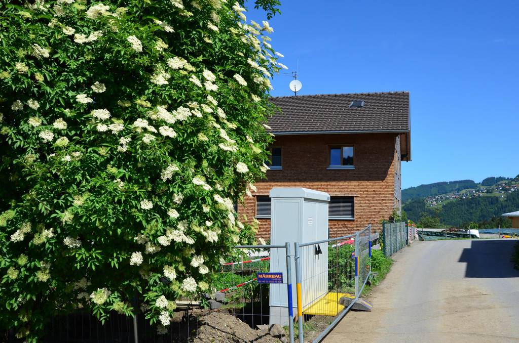 Breitband Batschuns 250518_1 _5_.JPG
