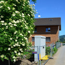 Breitband Batschuns 250518_1 _5_.JPG