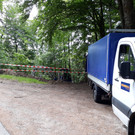Breitband Dafins _1_.jpg