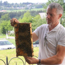 IMG_1226.JPG