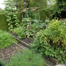 Lauterach Hirlemann G DSC01783.JPG