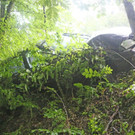 EV6A3518.jpg