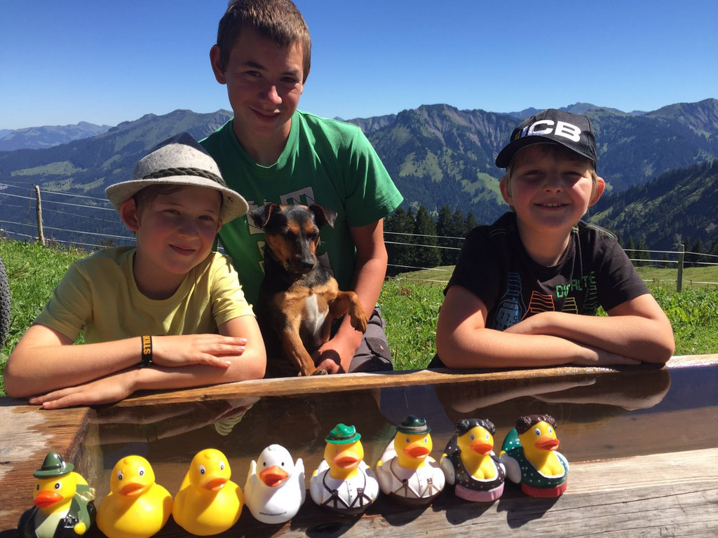 Alpe Hohe Kugel 2016_kam_ _1_.jpg