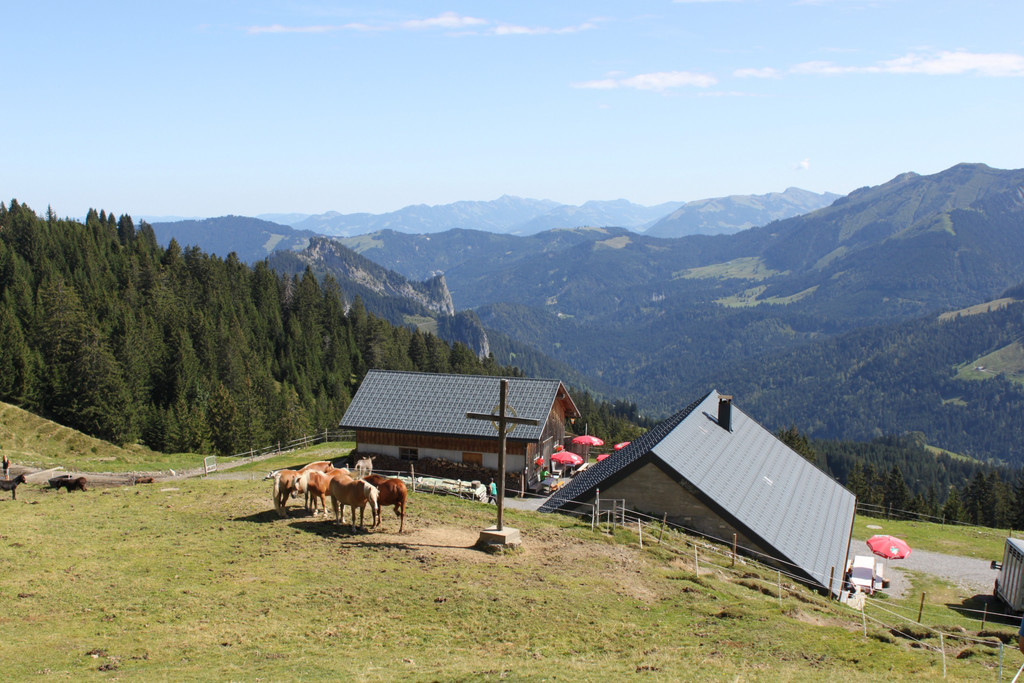 hohe hugel alph__tte.jpg