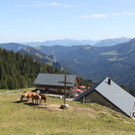 hohe hugel alph__tte.jpg