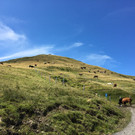hohe Kugel 08-2017_kam _2_.JPG