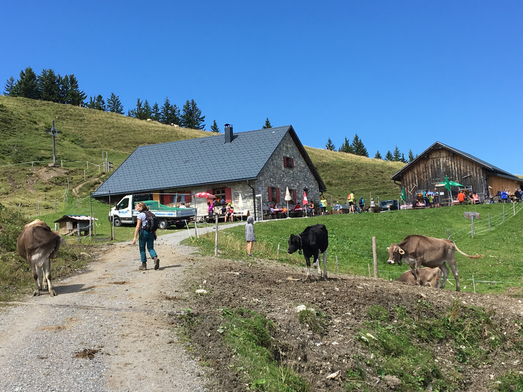 hohe Kugel 08-2017_kam _5_.JPG