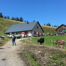 hohe Kugel 08-2017_kam _5_.JPG