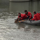 20180601fmt_Hund_salzach_fm_02.jpg