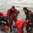 20180601fmt_Hund_salzach_fm_03.jpg
