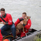 20180601fmt_Hund_salzach_fm_11.JPG