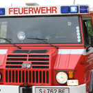 20180601fmt_Hund_salzach_fm_13.JPG