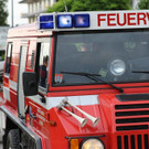 20180601fmt_Hund_salzach_fm_20.JPG