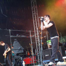 1081481.jpg