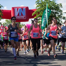 file70eu5n5zk788ip6nd9w.jpg