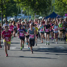 file70euboej23cf7zeo1ou.jpg