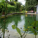 Lustenau K__nig Irmi G DSC01890.JPG