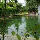 Lustenau K__nig Irmi G DSC01891.JPG