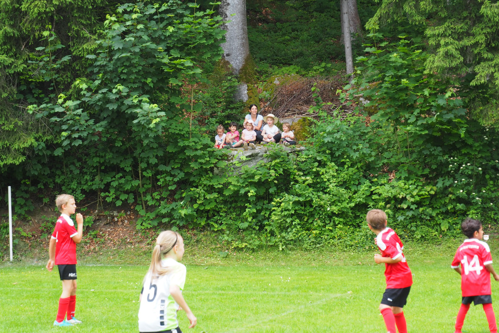 P5310337.JPG