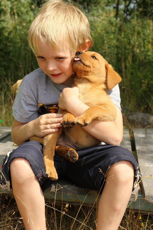 hund _8_ _Andere_.jpg