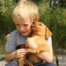 hund _8_ _Andere_.jpg