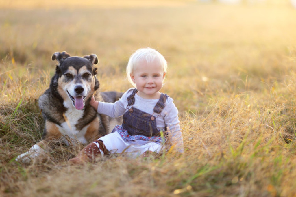 hund _5_ _Andere_.jpg