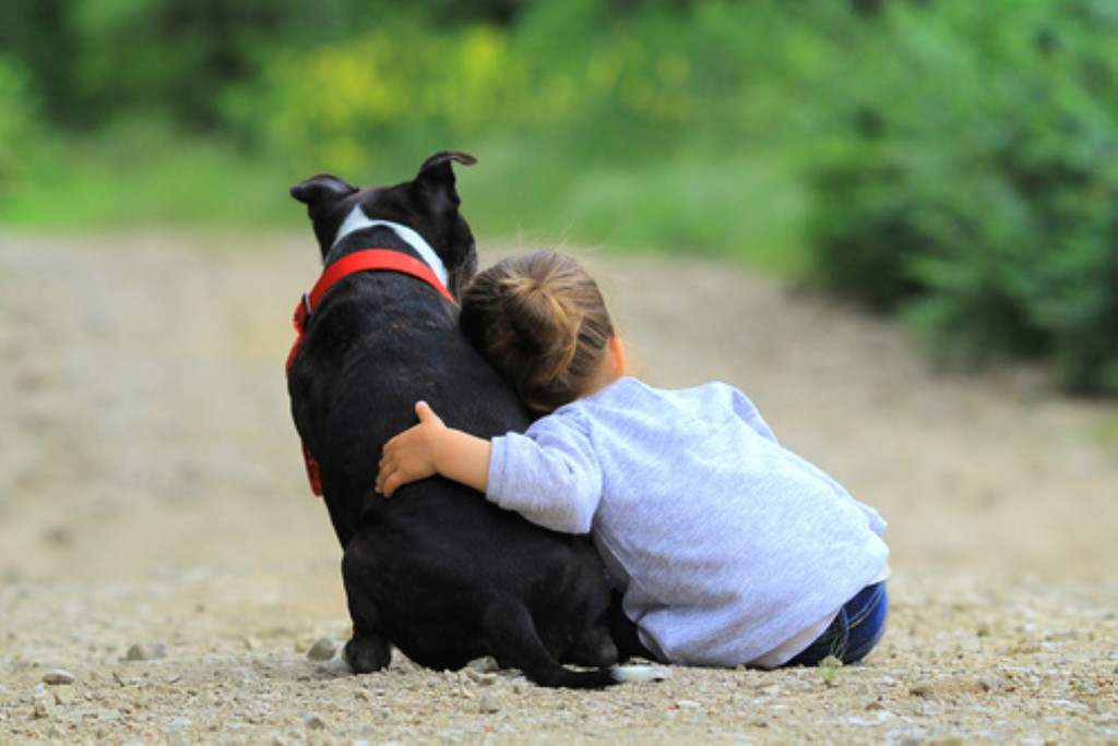 hund _3_ _Andere_.jpg