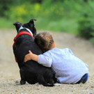 hund _3_ _Andere_.jpg