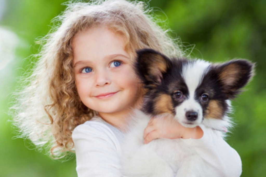 hund _2_ _Andere_.jpg