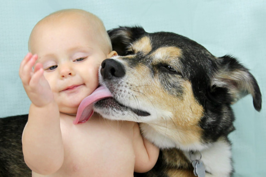 hund _1_ _Andere_.jpg