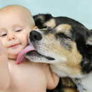 hund _1_ _Andere_.jpg