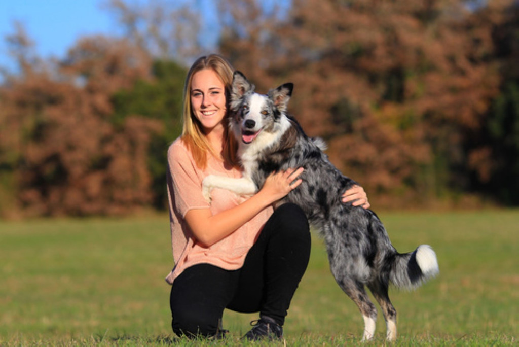 hund _6_ _Andere_.jpg