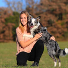 hund _6_ _Andere_.jpg
