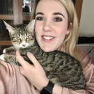 Vermisster Kater Simba