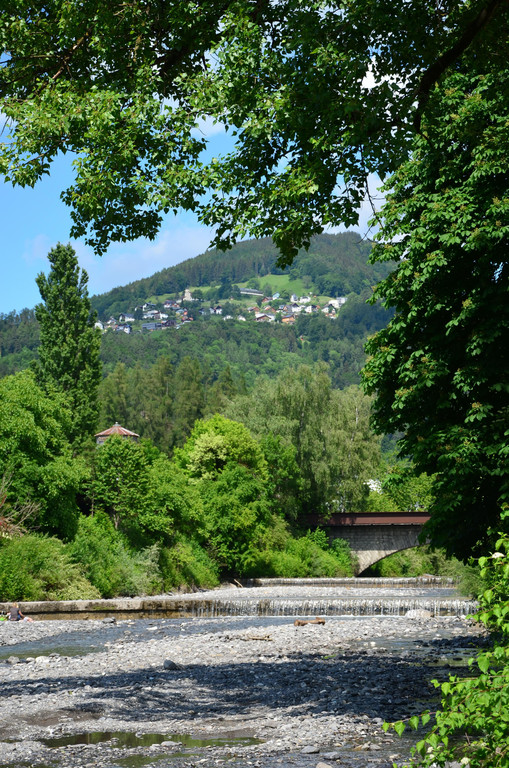 Fr__disch 240518_1.JPG