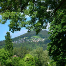 Frutz und Frödisch