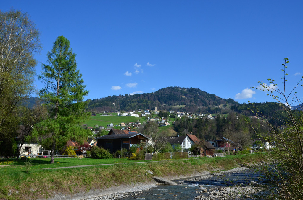Frutz mit Blick nach Batschuns _1_.JPG