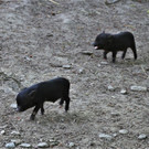 IMG_5750.JPG