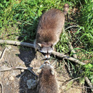IMG_5758.JPG