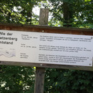 IMG_5801.JPG