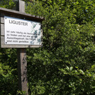 IMG_5822.JPG
