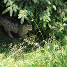 IMG_5827.JPG
