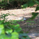IMG_5830.JPG