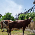 Bauernhof in Lamprechtshausen brennt nieder