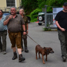 B__rser Jagdschie__en 2018 _7_.jpg