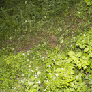 VU AlberschwendePKW-Dach04.jpg